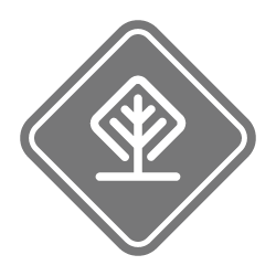 Foundational Environment